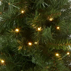 New National Tree Company Pre-Lit Artificial Christmas Tree, Green, Majestic Fir, White Led Lights, Includes Cloth Bag Base, Battery Operated, 24 Inches