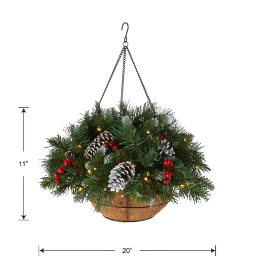 Shop National Tree Company Pre-Lit Artificial Christmas Hanging Basket, Frosted Berry, Decorated With Frosted Pine Cones, Berry Clusters, White Led Lights, Christmas Collection, 20 Inches