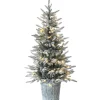 Pre-Lit Artificial Christmas Entrance Tree, Snowy Alpine Fir, With Warm White Led Lights, Plug In, 4.5 Ft^National Tree Company Discount