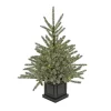 Outlet National Tree Company Pre-Lit Artificial Christmas Entrance Tree, Blue Evergreen , Dual Rice Led Lights, Plug In, 48 In