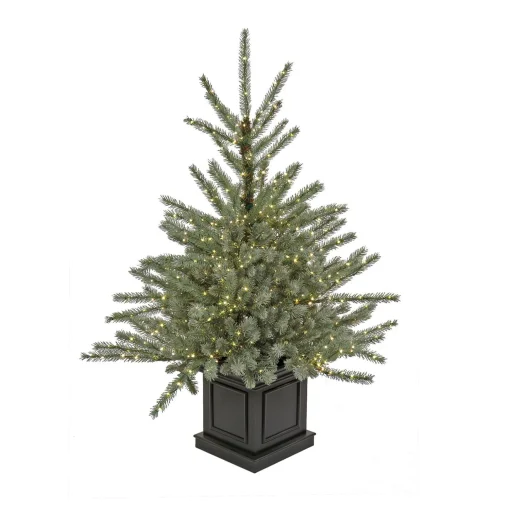 Outlet National Tree Company Pre-Lit Artificial Christmas Entrance Tree, Blue Evergreen , Dual Rice Led Lights, Plug In, 48 In