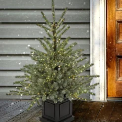 Outlet National Tree Company Pre-Lit Artificial Christmas Entrance Tree, Blue Evergreen , Dual Rice Led Lights, Plug In, 48 In