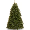 Pre-Lit Artificial Christmas Tree, Rocky Ridge Pine, Green, White Lights, Includes Stand, 6.5 Feet^National Tree Company Online