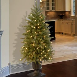 Discount National Tree Company Pre-Lit Artificial Christmas Entrance Tree, Green, Jersey Fraser Fir, 'Feel Real', White Led Lights, Includes Pot Base, 4 Feet