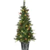 Best National Tree Company Pre-Lit Artificial Christmas Entrance Tree, Buzzard Pine, With Warm White Led Lights, Plug In, 5 Ft