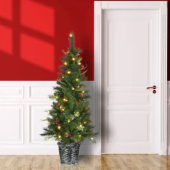 Best National Tree Company Pre-Lit Artificial Christmas Entrance Tree, Buzzard Pine, With Warm White Led Lights, Plug In, 5 Ft