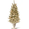 Shop National Tree Company Pre-Lit Artificial Christmas Entrance Tree, Snowy Sheffield Spruce With Twinkly Led Lights, Plug In, 4 Ft