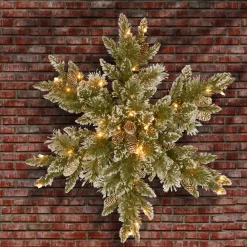 Online National Tree Company Pre-Lit Artificial Christmas Star Wreath, Green, Glittery Bristle Pine, White Lights, Decorated With Pine Cones, Frosted Branches, Christmas Collection, 32 Inches