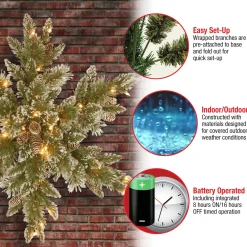 Online National Tree Company Pre-Lit Artificial Christmas Star Wreath, Green, Glittery Bristle Pine, White Lights, Decorated With Pine Cones, Frosted Branches, Christmas Collection, 32 Inches