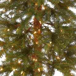 Hot National Tree Company Pre-Lit Artificial Christmas Tree, Hickory Cedar, Green, White Lights, Includes Stand, 5 Feet