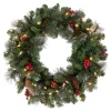 Sale National Tree Company Pre-Lit Artificial Christmas Wreath, Green, Crestwood Spruce, White Lights, Plug-In, Decorated With Pine Cones, Berry Clusters, Christmas Collection, 24 Inches