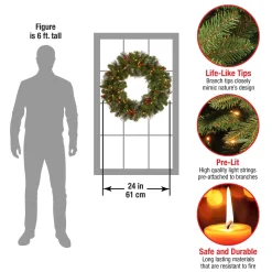 Sale National Tree Company Pre-Lit Artificial Christmas Wreath, Green, Crestwood Spruce, White Lights, Plug-In, Decorated With Pine Cones, Berry Clusters, Christmas Collection, 24 Inches