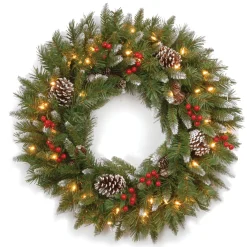 Hot National Tree Company Pre-Lit Artificial Christmas Wreath, Green, Frosted Berry, White Lights, Decorated With Pine Cones, Berry Clusters, Frosted Branches, Christmas Collection, 24 Inches