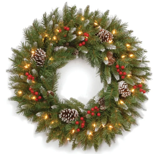 Hot National Tree Company Pre-Lit Artificial Christmas Wreath, Green, Frosted Berry, White Lights, Decorated With Pine Cones, Berry Clusters, Frosted Branches, Christmas Collection, 24 Inches