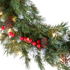 Hot National Tree Company Pre-Lit Artificial Christmas Wreath, Green, Frosted Berry, White Lights, Decorated With Pine Cones, Berry Clusters, Frosted Branches, Christmas Collection, 24 Inches