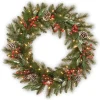 Outlet National Tree Company Pre-Lit Artificial Christmas Wreath, Green, Frosted Pine, White Lights, Decorated With Pine Cones, Berry Clusters, Frosted Branches, Christmas Collection, 30 Inches