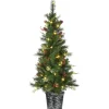 Pre-Lit Artificial Christmas Entrance Tree, Buzzard Pine, With Warm White Led Lights, Plug In, 5 Ft^National Tree Company Shop