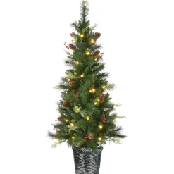 Pre-Lit Artificial Christmas Entrance Tree, Buzzard Pine, With Warm White Led Lights, Plug In, 5 Ft^National Tree Company Shop