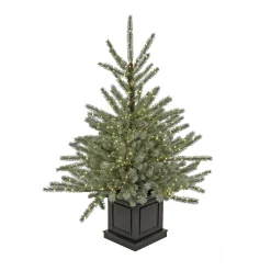 Cheap National Tree Company Pre-Lit Artificial Christmas Entrance Tree, Blue Evergreen , Dual Rice Led Lights, Plug In, 48 In