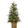 Pre-Lit Artificial Christmas Entrance Tree, Scotch Creek Fir, With Warm White Led Lights, Plug In, 4 Ft^National Tree Company Cheap