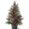 Shop National Tree Company Pre-Lit Artificial Christmas Tree, Green, Colonial Fir, White Led Lights, Decorated With Berry Clusters, Pine Cones, Includes Pot Base, Battery Operated, 2 Feet