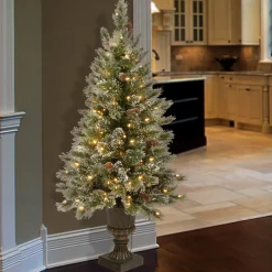 Sale National Tree Company Pre-Lit Artificial Christmas Entrance Tree, Glittery Bristle Pine With Twinkly Led Lights, Plug In, 4 Ft