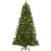 Sale National Tree Company Pre-Lit Artificial Christmas Tree, Peyton Spruce, Green, White Lights, Includes Stand, 6.5 Feet