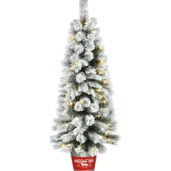Pre-Lit Artificial Christmas Entrance Tree, Snowy Pogue Pine, With Warm White Led Lights, Plug In, 5 Ft^National Tree Company Best Sale