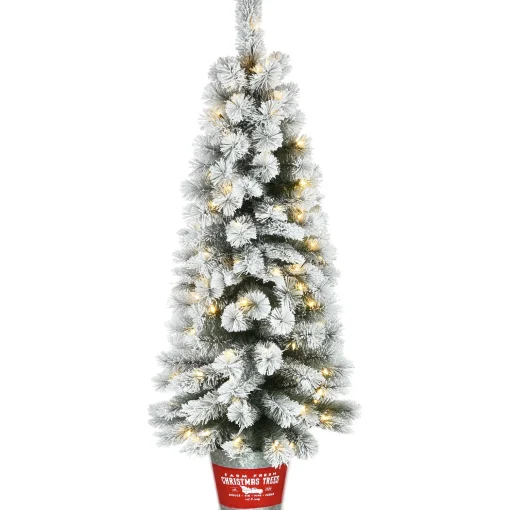 Pre-Lit Artificial Christmas Entrance Tree, Snowy Pogue Pine, With Warm White Led Lights, Plug In, 5 Ft^National Tree Company Best Sale
