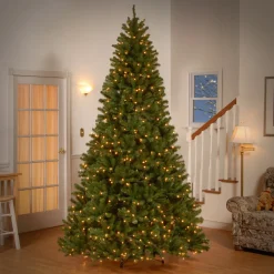 Cheap National Tree Company Pre-Lit Artificial Christmas Tree, Powerconnect North Valley Spruce With Light Parade Led Lights, Rgb Led Lights, Plug In, 9 Ft