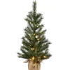 Pre-Lit Artificial Christmas Tree, Green, Frosted Ontario Pine, White Led Lights, Includes Cloth Bag Base, Battery Operated, 3 Feet^National Tree Company Cheap