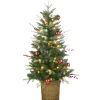 Discount National Tree Company Pre-Lit Artificial Christmas Entrance Tree, Scotch Creek Fir, With Warm White Led Lights, Plug In, 4 Ft
