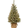 Fashion National Tree Company Pre-Lit Artificial Christmas Tree, Green, Snowy Concolor, White Led Lights, Decorated With Pine Cones, Includes Cloth Bag Base, Battery Operated, 24 Inches