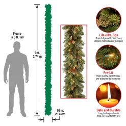 Best National Tree Company Pre-Lit Artificial Christmas Garland, Green, Carolina Pine, White Lights, Decorated With Pine Cones, Plug In, Christmas Collection, 9 Feet