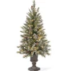 Pre-Lit Artificial Christmas Entrance Tree, Glittery Bristle Pine With Twinkly Led Lights, Plug In, 4 Ft^National Tree Company Shop
