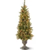 Cheap National Tree Company Pre-Lit Artificial Entrance Christmas Tree, Glittery Gold Pine, Green, White Lights, Decorated With Berry Clusters, Pine Cones, Includes Metal Base, 4 Feet