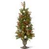 Pre-Lit Artificial Entrance Christmas Tree, Frosted Berry Pine, Green, White Lights, Decorated With Berry Clusters, Pine Cones, Includes Metal Base, 4 Feet^National Tree Company Online
