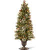 Pre-Lit Artificial Entrance Christmas Tree, Wintry Pine, Green, White Lights, Decorated With Berry Clusters, Pine Cones, Includes Metal Base, 5 Feet^National Tree Company Shop