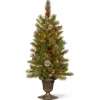 Outlet National Tree Company Pre-Lit Artificial Entrance Christmas Tree, Bristle Berry Pine, Green, White Lights, Decorated With Berry Clusters, Pine Cones, Includes Metal Base, 4 Feet