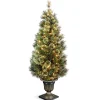 Pre-Lit Artificial Entrance Christmas Tree, Wispy Willow Grande, Green, White Lights, Includes Metal Base, 5 Feet^National Tree Company Clearance