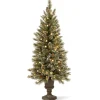 Discount National Tree Company Pre-Lit Artificial Entrance Christmas Tree, Green, Glittery Bristle Pine, White Lights, Flocked With Pine Cones, Frosted Branches, Includes Stand, 5 Feet
