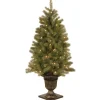 Flash Sale National Tree Company Pre-Lit Artificial Entrance Christmas Tree, Downswept Douglas Fir, Green, White Lights, Includes Metal Base, 4 Feet
