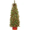 Pre-Lit Artificial Entrance Christmas Tree, Colonial Fir, Green, White Lights, Decorated With Flowers, Includes Metal Base, 6 Feet^National Tree Company Best