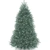 Outlet National Tree Company Pre-Lit Artificial Full Christmas Tree, Blue, Dunhill Fir, White Lights, Includes Stand, 6.5 Feet
