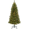 Clearance National Tree Company Pre-Lit Artificial Full Christmas Tree, Green, Canadian Fir Grande, White Lights, Includes Stand, 6 Feet