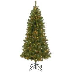 Clearance National Tree Company Pre-Lit Artificial Full Christmas Tree, Green, Canadian Fir Grande, White Lights, Includes Stand, 6 Feet