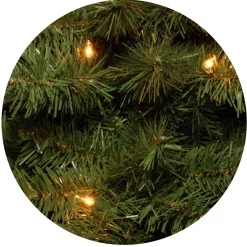 Clearance National Tree Company Pre-Lit Artificial Full Christmas Tree, Green, Canadian Fir Grande, White Lights, Includes Stand, 6 Feet