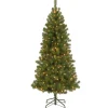 Pre-Lit Artificial Full Christmas Tree, Green, Canadian Fir Grande, White Lights, Includes Stand, 7 Feet^National Tree Company Discount
