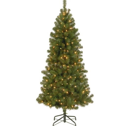 Pre-Lit Artificial Full Christmas Tree, Green, Canadian Fir Grande, White Lights, Includes Stand, 7 Feet^National Tree Company Discount