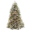 Cheap National Tree Company Pre-Lit Artificial Full Christmas Tree, Green, Dunhill Fir, White Lights, Decorated With Pine Cones, Berry Clusters, Frosted Branches, Includes Stand, 7.5 Feet